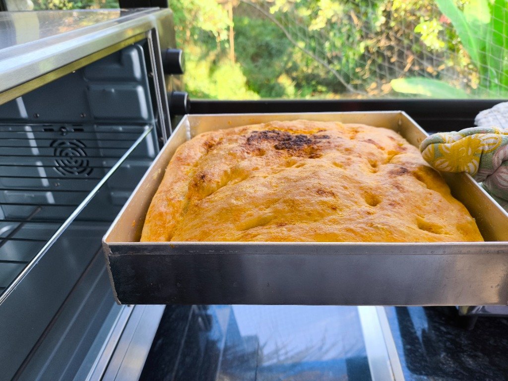 SatvaChi Dish 1